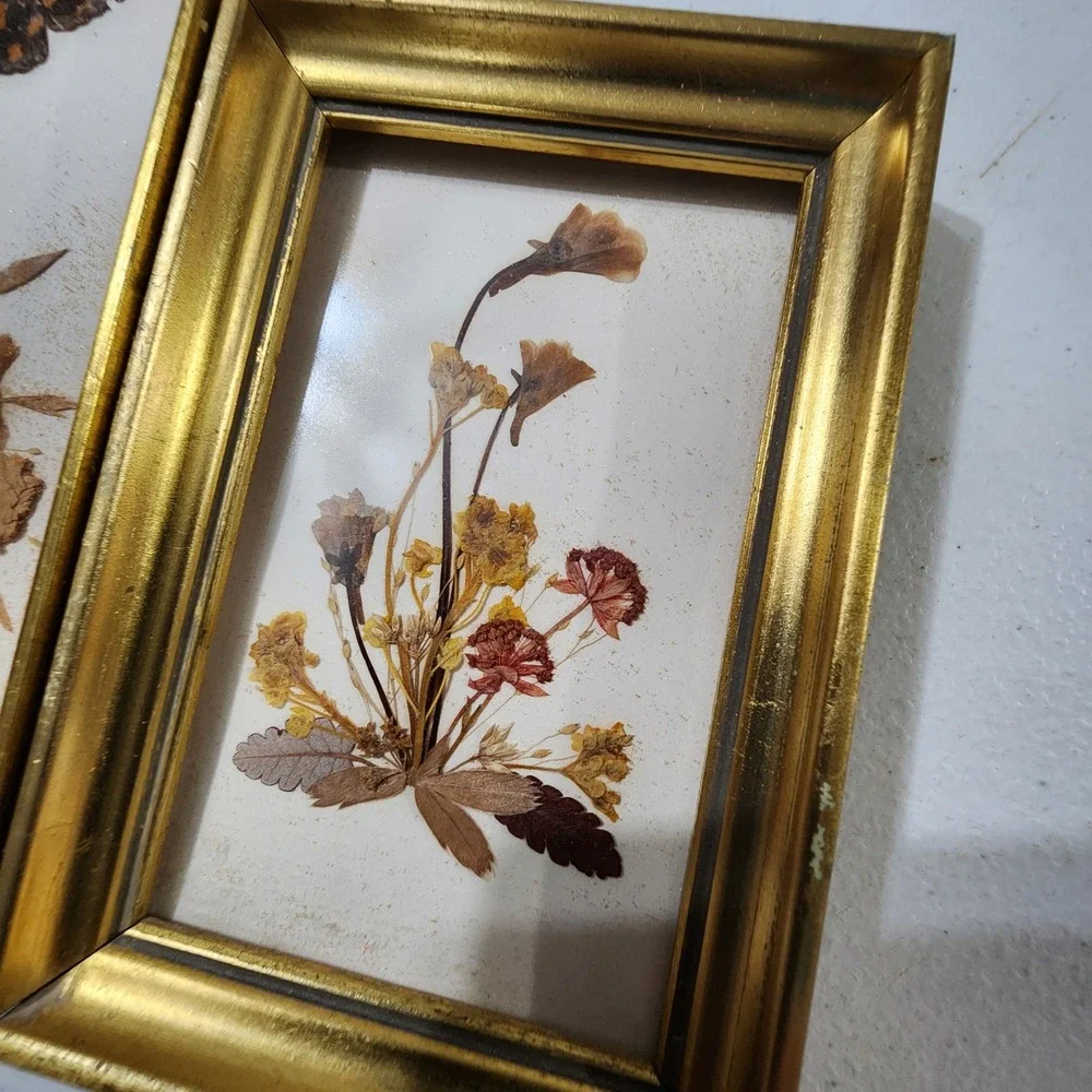 Vintage Reichlin Switzerland Pressed Flower Butterfly Art Gold Frames Set of 2